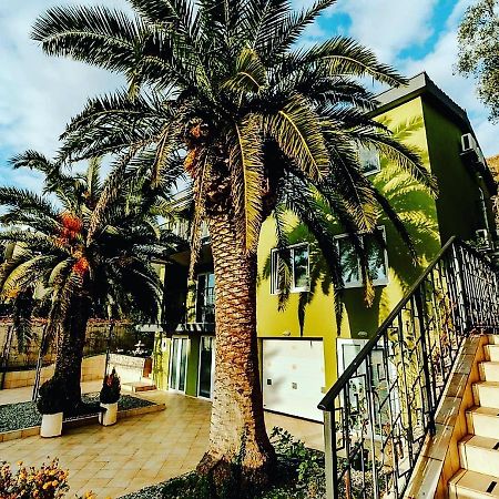 Palm Point Apartment Petrovac المظهر الخارجي الصورة
