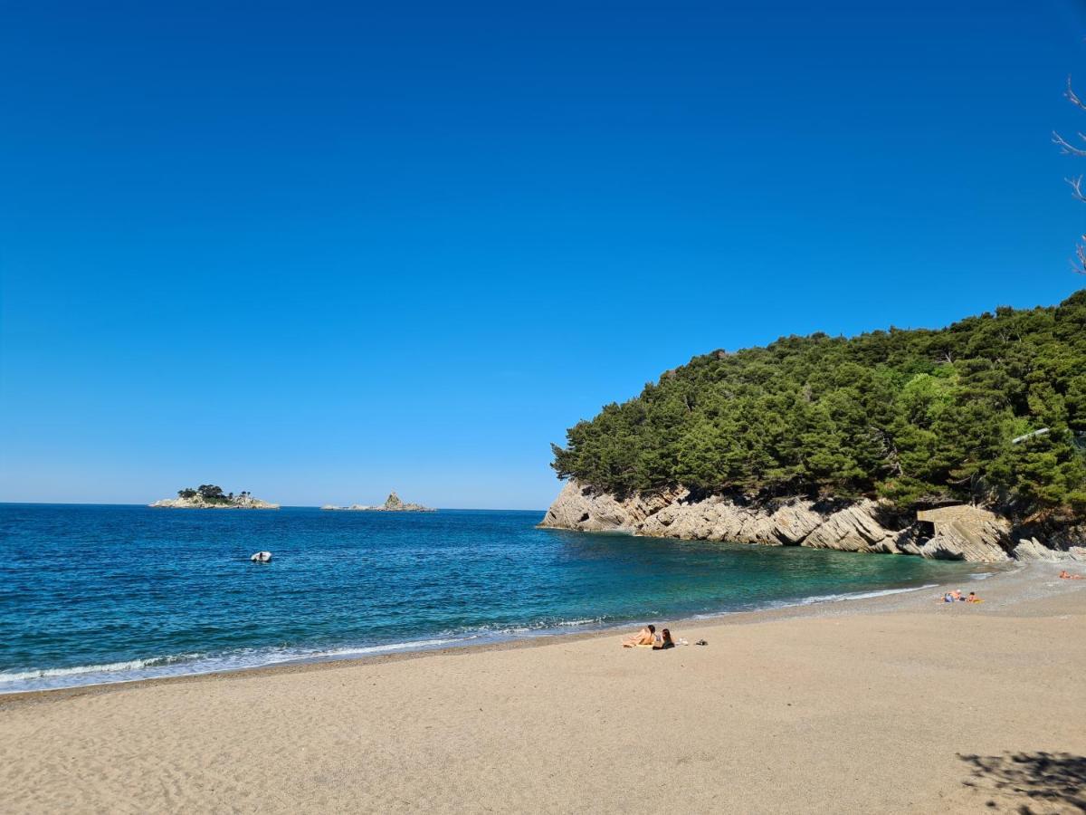 Palm Point Apartment Petrovac المظهر الخارجي الصورة