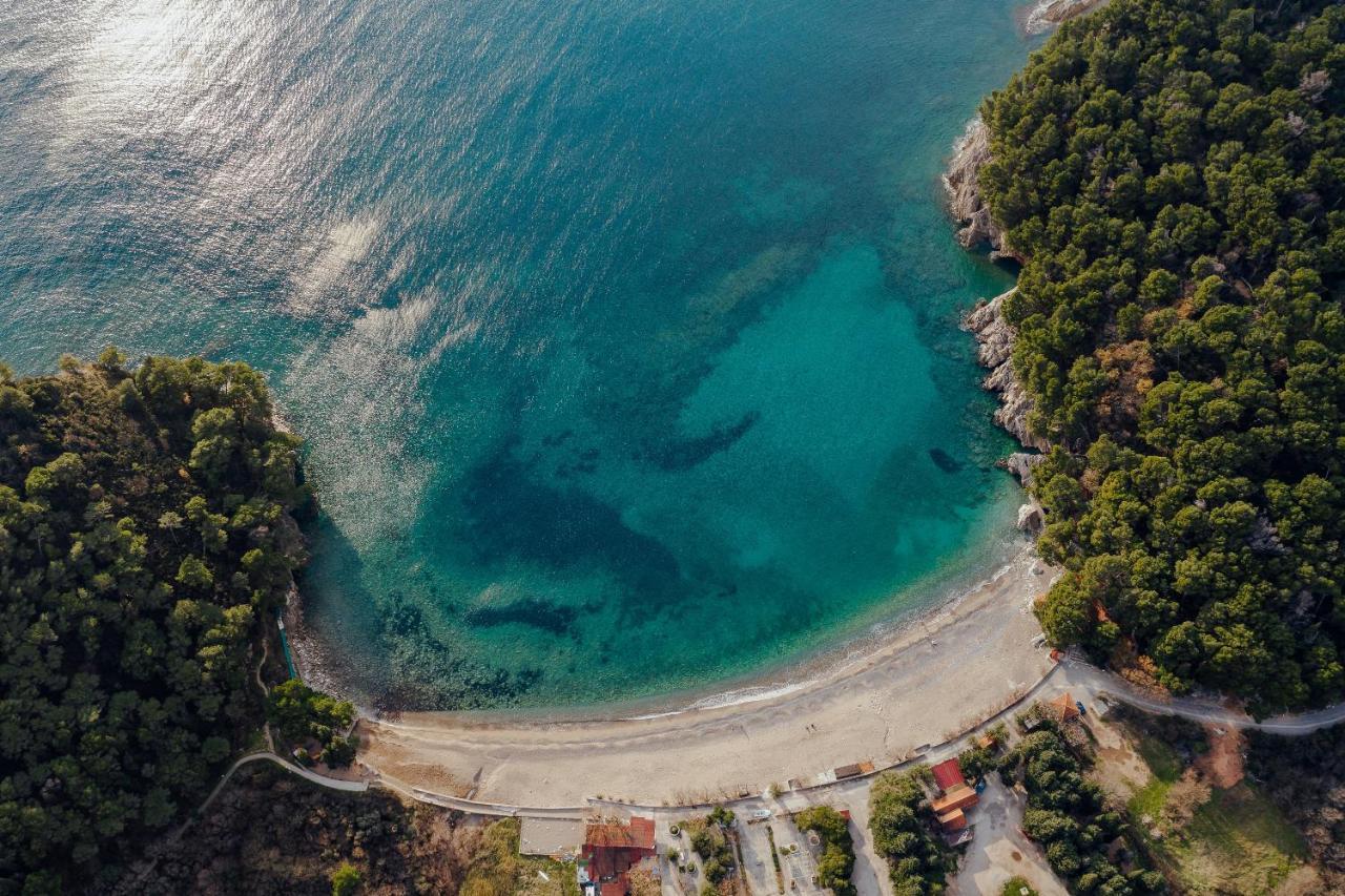 Palm Point Apartment Petrovac المظهر الخارجي الصورة